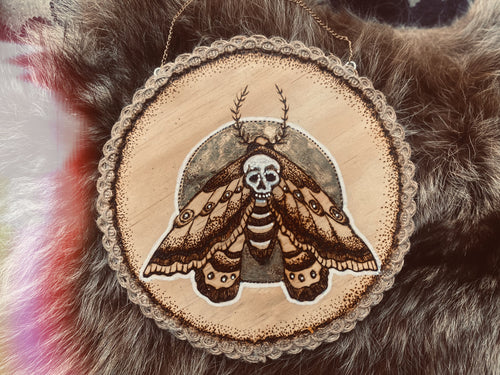 Death Moth // pyrography